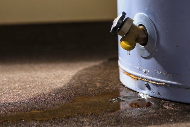 Best 24-hour water damage restoration  in Poynette, WI