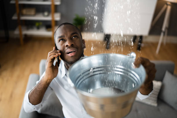 Best Local water damage restoration  in Poynette, WI