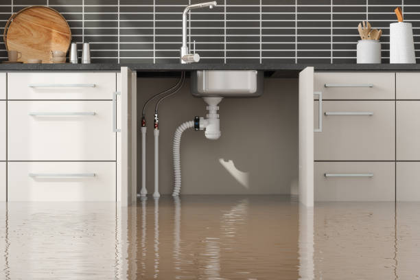 Best Water damage restoration insurance claims  in Poynette, WI